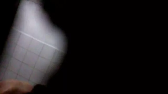 老骯髒抓住兩匹黑色的種馬