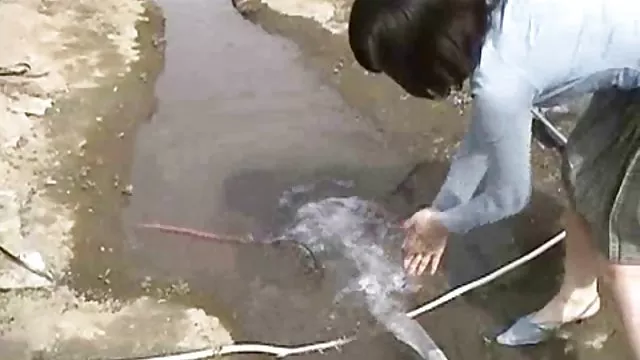 可愛的小胖被釘在暨沐浴