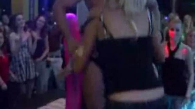 大烏龜與黑色鉚釘分享他的妻子